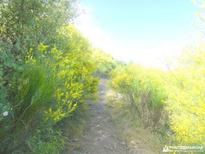 Cerro de la Cabeza y Puerto de la Cruz Verde; rutas senderismo españa verano evento vacaciones seman